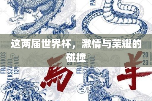 这两届世界杯，激情与荣耀的碰撞眉山市正发家政服务有限公司