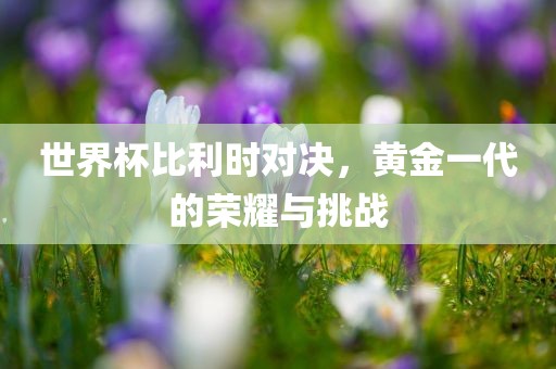 世界杯比利时对决，黄金一代的荣耀与挑战眉山市正发家政服务有限公司