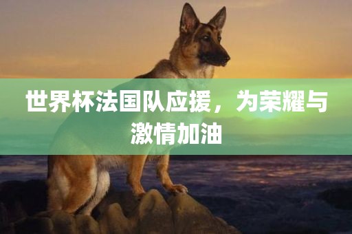 世界杯法国队应援，眉山市正发家政服务有限公司为荣耀与激情加油