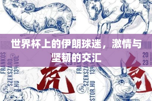 世界杯上的伊朗球迷，激情与坚韧的交汇眉山市正发家政服务有限公司