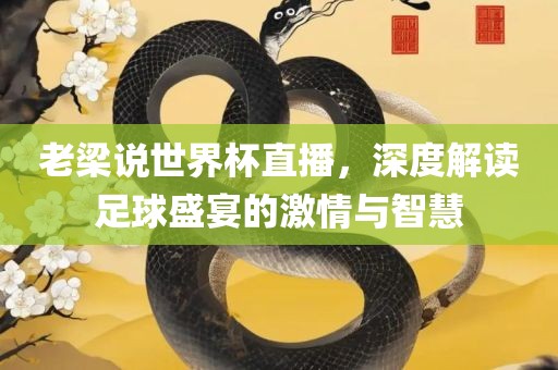 老梁说世界杯直播，深度解读足球盛宴的激情与智慧