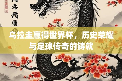 乌拉圭赢得世界杯，历史荣耀与足球传奇的铸就眉山市正发家政服务有限公司