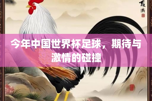 今年中国世界杯足球，期待与激情的碰撞
