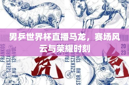 男乒世界杯直播马龙，赛场风云与荣耀时刻眉山市正发家政服务有限公司