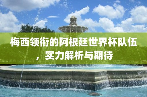 梅西领衔的阿根廷世界杯队伍，实力解析与期待