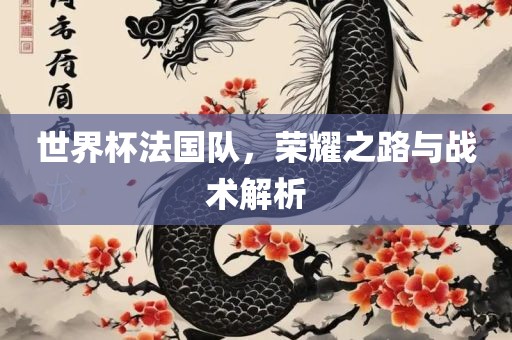 世界杯法国队，荣耀之路与眉山市正发家政服务有限公司战术解析