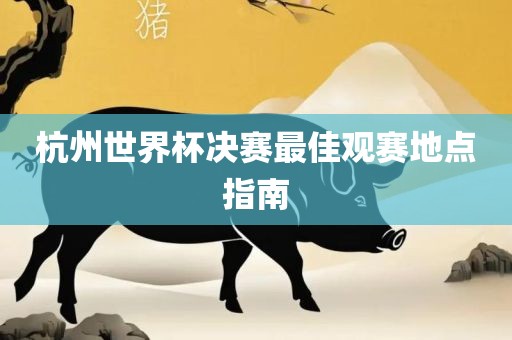 杭州世界杯决赛最佳观赛地点指南眉山市正发家政服务有限公司