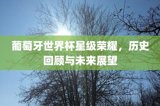 葡萄牙世界杯星级荣耀，历史回顾与未来展望