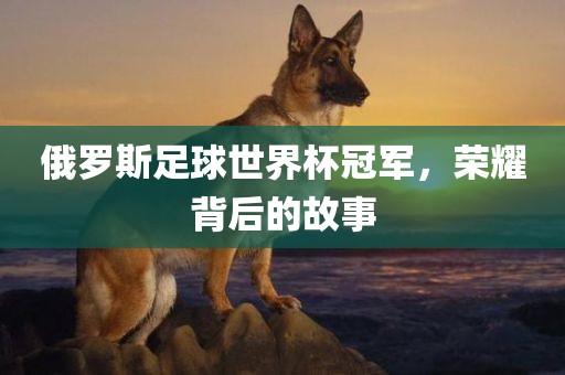 俄罗斯足球世界杯冠军，荣耀背后的故事