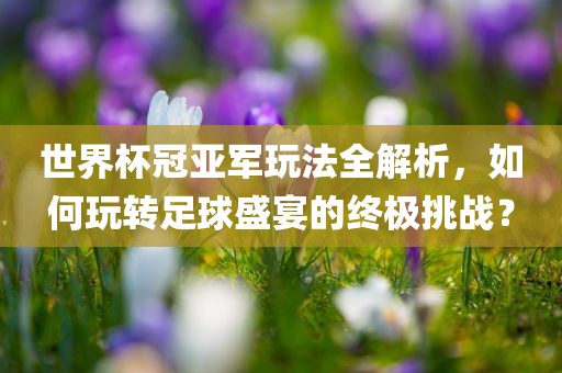 世界杯冠亚军玩法全解析，如何玩转足球盛宴的终极挑战？