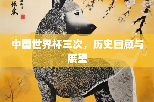 中国世界杯三次，历史回顾与展望