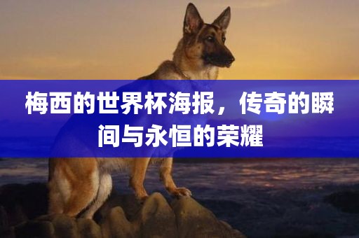 梅西的世界杯海报，传奇的瞬间与永恒的荣耀眉山市正发家政服务有限公司