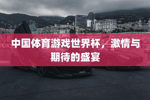 中国体育游戏世界杯，激情与期待的盛宴