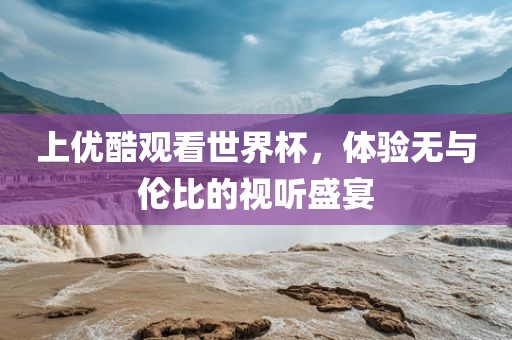 上优酷观看世界杯，体验无与伦比的视听盛宴眉山市正发家政服务有限公司