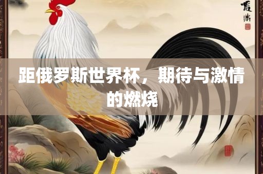 距俄罗斯世界杯，期待与激情的燃烧