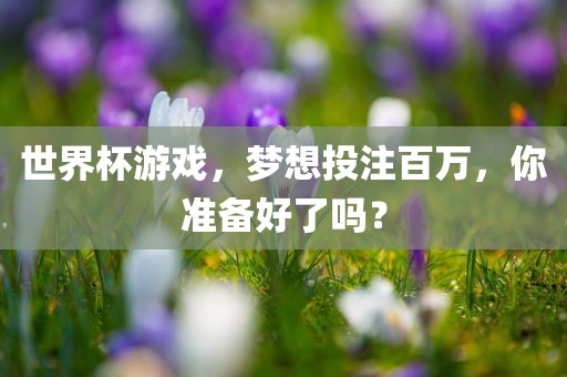 世界杯游戏，梦想投注百万，你准备好了吗？
