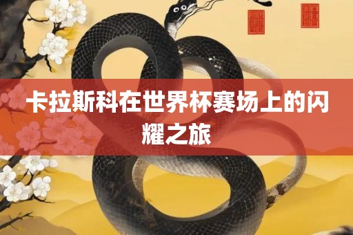 卡拉斯科在世界杯赛场上的闪耀之旅