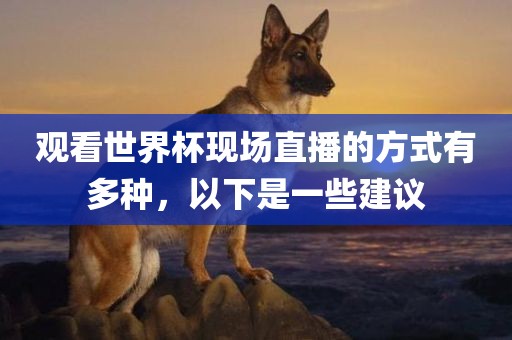 观看世界杯现场直播的方式有多种，以下是一些建议眉山市正发家政服务有限公司