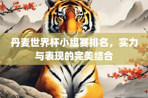 丹麦世界杯小组赛排名，实力与表现的完美结合眉山市正发家政服务有限公司