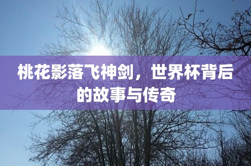 桃花影落飞神剑，世界杯背后的故事与传奇