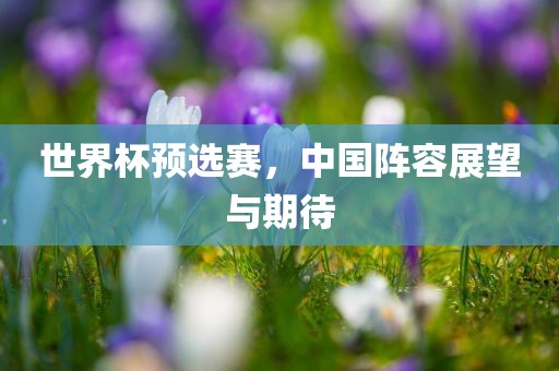 世界杯预选赛，中国阵容展望与期待