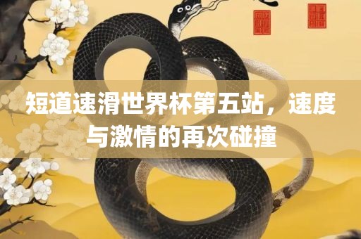 短道速滑世界杯第五站，速度与激情的再次碰撞眉山市正发家政服务有限公司