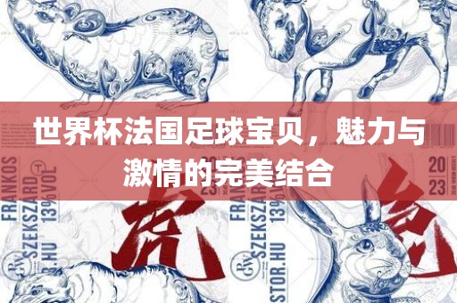世界杯法国足球宝贝，魅力与激情的完美结合眉山市正发家政服务有限公司