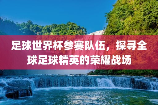 足球世界杯参赛队伍，探寻全球足球精英的荣耀战场眉山市正发家政服务有限公司