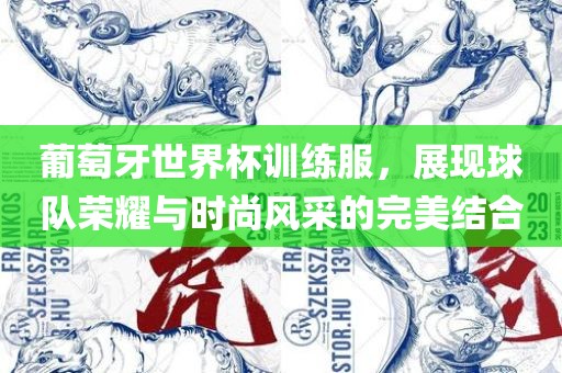 葡萄牙世界杯训练服，展现球队荣耀与时尚风采的完美结合眉山市正发家政服务有限公司