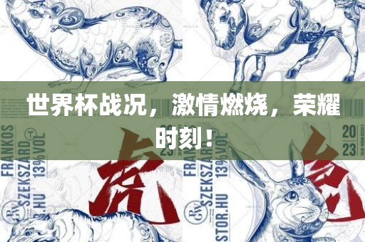 cairenqiu 第12页