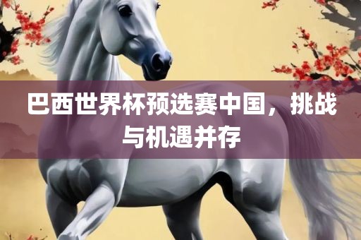 巴西世界杯预选赛中国，挑战与机遇并存