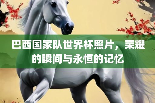 巴西国家队世界杯照片，荣耀的瞬间与永恒的记忆眉山市正发家政服务有限公司