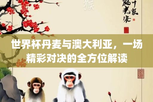 世界杯丹麦与澳大利亚，一场精彩对决的全方位解读眉山市正发家政服务有限公司