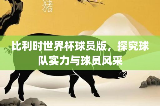 比利时世界杯球员版，探究球队实力与球员风采眉山市正发家政服务有限公司
