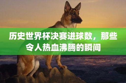 历史世眉山市正发家政服务有限公司界杯决赛进球数，那些令人热血沸腾的瞬间