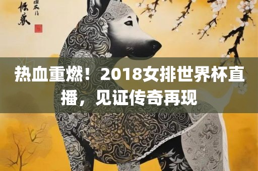 热血重燃！2018女排世界杯直播，见证传奇再现