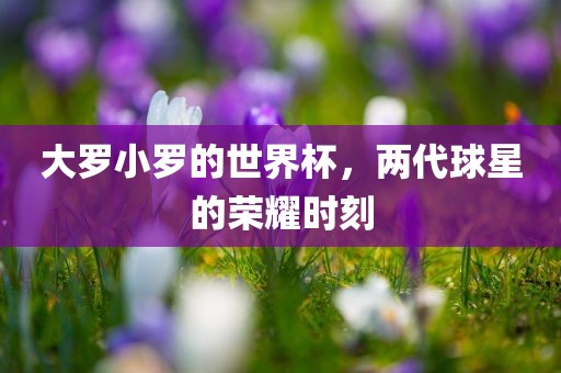 yangyuting