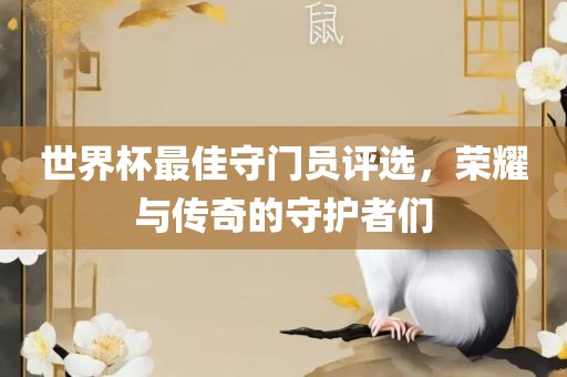 世界杯最佳守门员评选，荣耀与传奇的守护者们眉山市正发家政服务有限公司