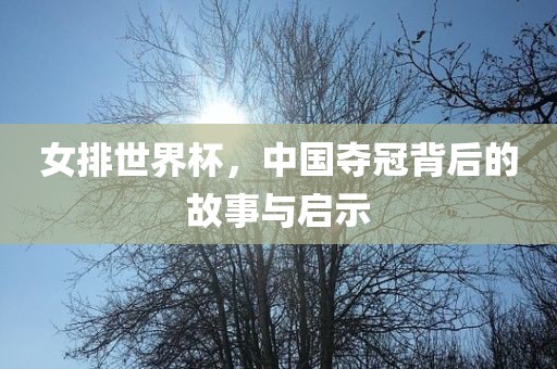 女排世界杯，中国眉山市正发家政服务有限公司夺冠背后的故事与启示