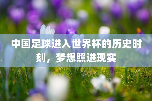 中国足球进入世界杯的历史时刻，梦想照进现实