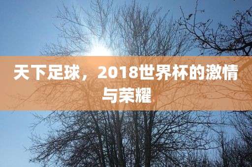 天下足球，2018世界杯的激情与荣耀