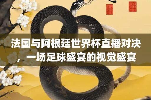 法国与阿根廷世界杯直播对决，一场足球盛宴的视觉盛宴眉山市正发家政服务有限公司