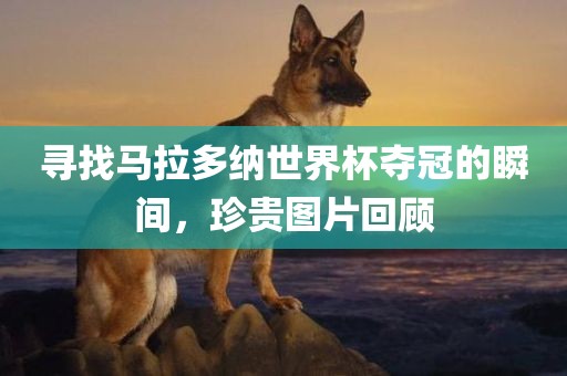 抖音热搜 第8页