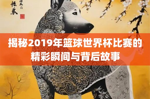揭秘2019年篮球世界杯比赛的精彩瞬间与眉山市正发家政服务有限公司背后故事