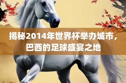 揭秘2014年世界杯举办眉山市正发家政服务有限公司城市，巴西的足球盛宴之地
