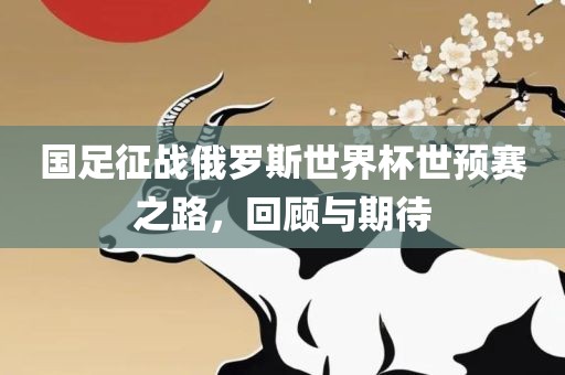 国足征战俄罗斯世界杯世预赛之路，回顾与期待