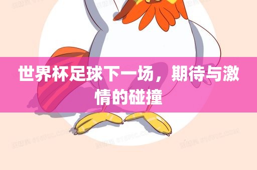 世界杯足球下一场，期待与激情的碰撞