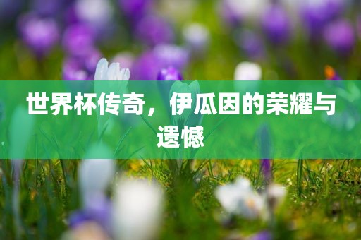 世界杯传奇，伊瓜因的荣耀与遗憾