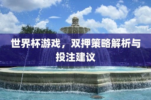世界杯游戏，双押策略解析与投注建议