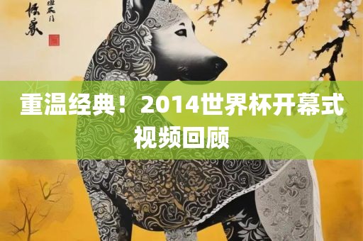 眉山市正发家政服务有限公司重温经典！2014世界杯开幕式视频回顾